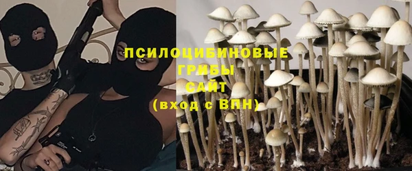 mdma Лагань