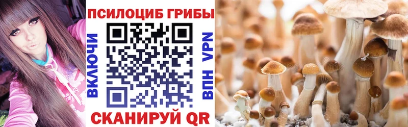 купить наркотик  кракен tor  Галлюциногенные грибы GOLDEN TEACHER  Орёл 